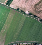 1200 ft Wall Manor Farm east 1, 6.7.18 processed_.jpg